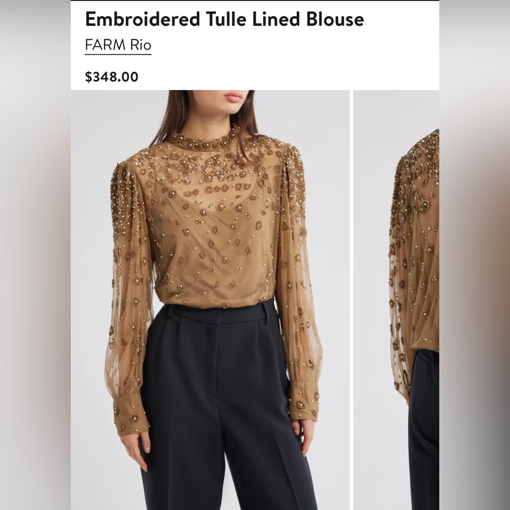 Embroidered Tulle Lined Blouse Farm Rio